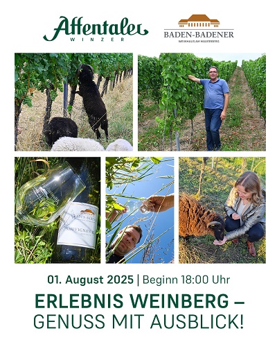 Erlebnis Weinberg